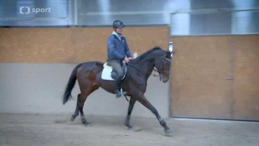 Příběh Pavla Březiny