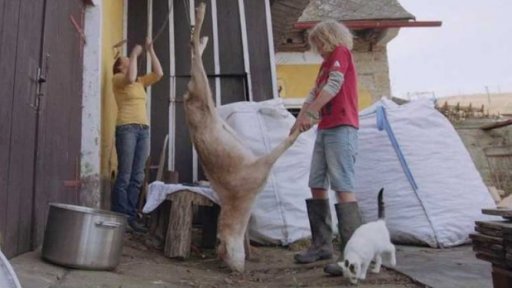 Art týden: dokument Vlci na hranicích