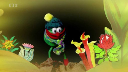 Muf uletěl před zimou do teplých krajin - na ostrov Coco de palma.