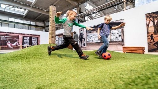 Góóól – Hrdinové české kopané