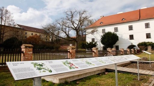 Mendelovo muzeum