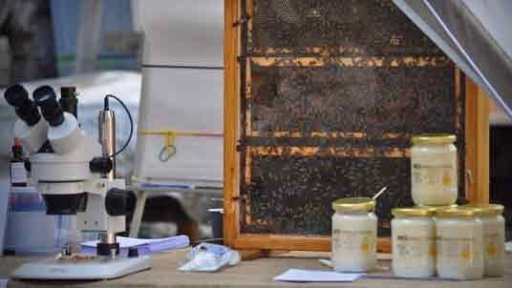 Chvála medu a Krkavci z pohádek