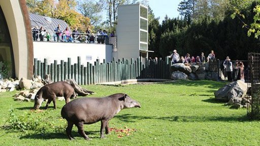 Den zvířat v ZOO Jihlava
