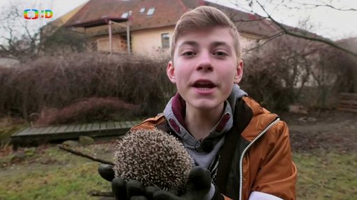 Příroda: Zvířecí záchranka