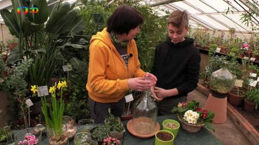 Příroda: Jak pomoct po zimě na zahradě a jak si vyrobit zahrádku v láhvi