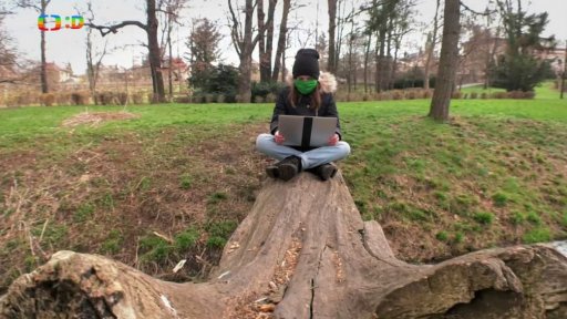 Společnost: Leonardo da Vinci