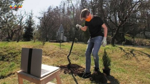 Příroda: Zasaď strom, pomůžeš přírodě