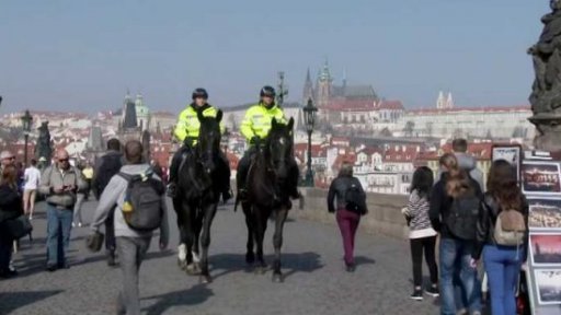 Příroda: Policejní kůň