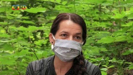 Technika: Obchodní stezky