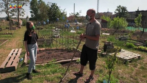 Příroda: Městské farmaření