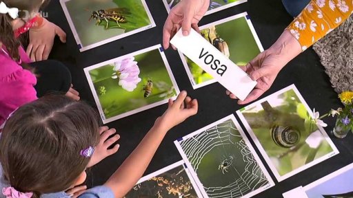 Člověk a jeho svět pro 1. ročník ZŠ
