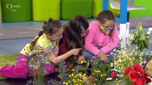 Člověk a jeho svět pro 1. ročník ZŠ