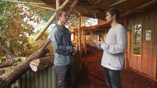 TýYó reportáž: Povolání „lovec pašeráků zvířat“