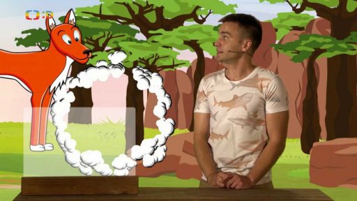 Zaostřeno na: Dingo - pes, který neštěká