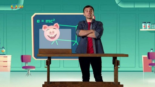 Zaostřeno na: Chytrý jako prase