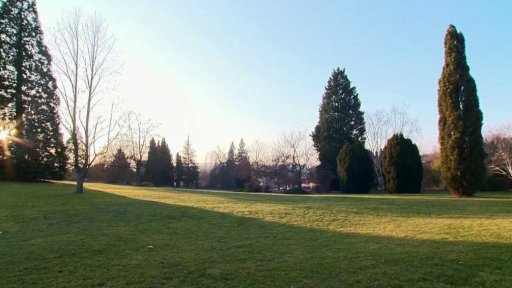 Než začnete plánovat zahradu