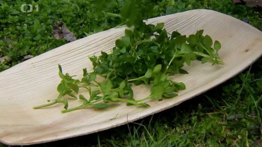 Jak si posílit imunitu