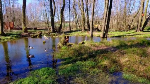 Hadi a obojživelníci v zahradě