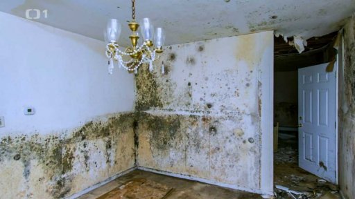 Sanace chemickou krémovou injektáží