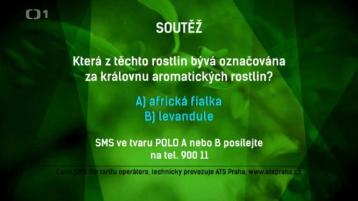 Soutěž