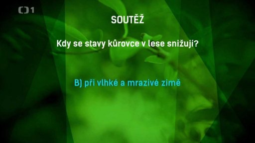 Výherci soutěže
