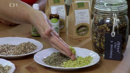 Byliny pro dobré trávení