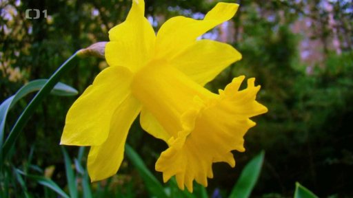 Vychytávky pro podzimní přípravu zahrady