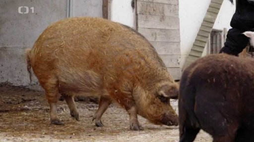 Větší, než byste čekali