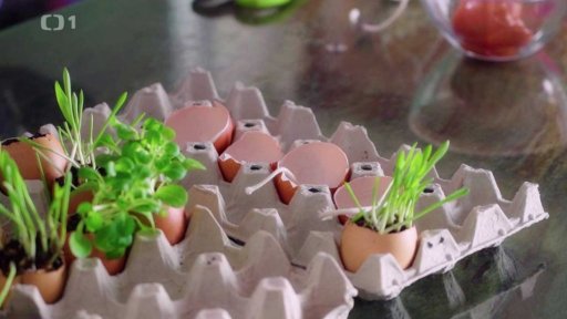 Svíčky ve vaječných skořápkách