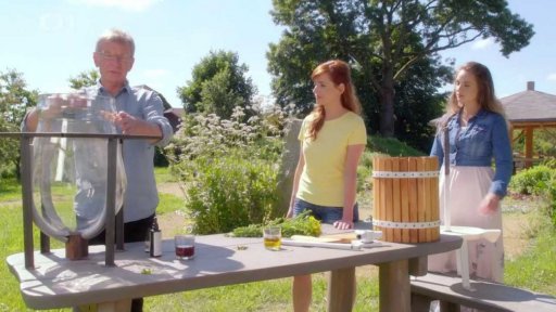 Bylinkové pole u Vlčí Hory