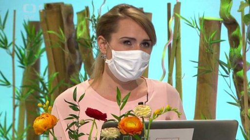 Co nám dala karanténa