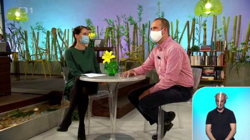 Oživení barev doma, trendy a zdravé barvy