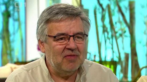 Užitečný hmyz na zahrádce