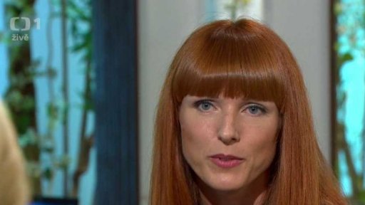 Fenomén homeoffice a jak dál - 3. část