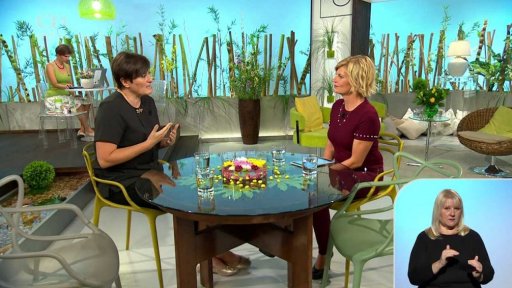 Jak jsme na tom s plýtváním jídlem