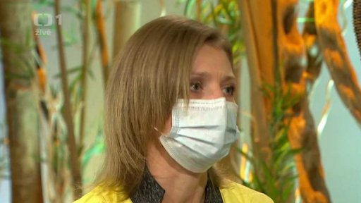 Úřad práce - sociální dávky pro pěstouny