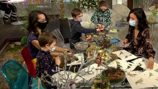 Týdenní seriál - krmení  ptáků a krmítka - 2. část