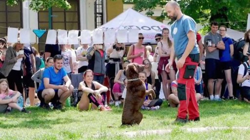 Běhejme a pomáhejme útulkům