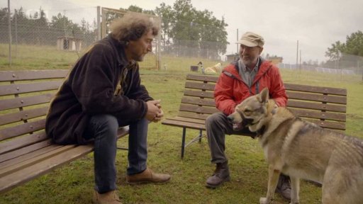 Tvrdohlavý Guess: triky a rady