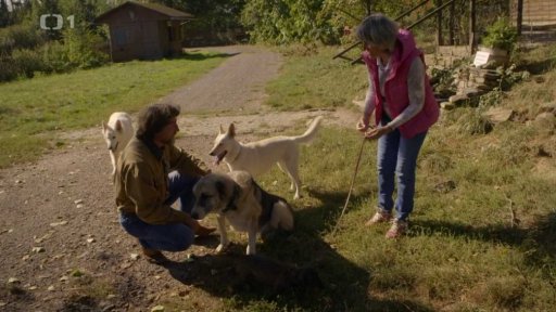 Nepořádná Elsa: seznámení s koučem