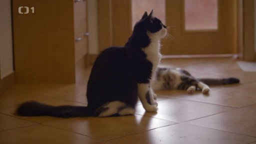 Dominantní Nela: po měsíci