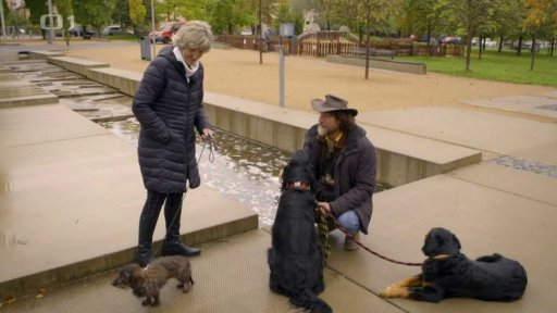 Nepořádná Elsa: po měsíci