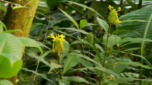Botanická zahrada Teplice
