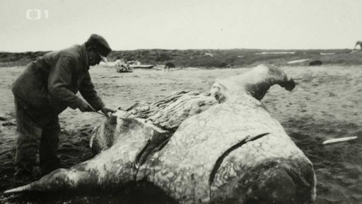 Expozice Jana Eskymo Welzla v Zábřehu