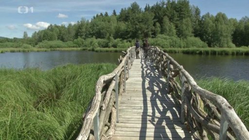 Naučná stezka Olšina