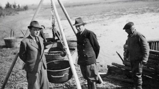 Výlov Bohdanečského rybníka