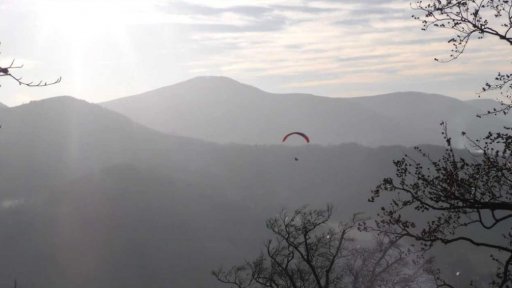 Stezky po medvědích tlapkách v Beskydech
