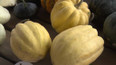 Dýně a cukety