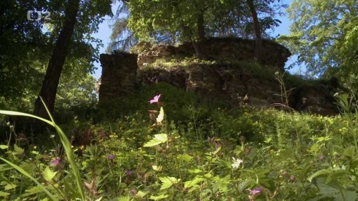 Brandýs nad Orlicí