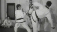Korejské karate